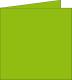Carte pliée Pollen 160x160, 210 g/m², coloris vert menthe, en paquet cellophané de 25,image 1