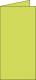 Carte pliée Pollen 106x213, 210 g/m², coloris vert bourgeon, en paquet cellophané de 25,image 1