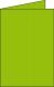 Carte pliée Pollen 110x155, 210 g/m², coloris vert menthe, en paquet cellophané de 25,image 1