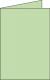 Carte pliée Pollen 110x155, 210 g/m², coloris vert, en paquet cellophané de 25,image 1