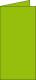 Carte pliée Pollen 106x213, 210 g/m², coloris vert menthe, en paquet cellophané de 25,image 1