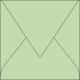 Enveloppe Pollen 165x165, 120 g/m², coloris vert, en paquet cellophané de 20,image 1