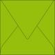 Enveloppe Pollen 165x165, 120 g/m², coloris vert menthe, en paquet cellophané de 20,image 1