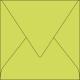 Enveloppe Pollen 140x140, 120 g/m², coloris vert bourgeon, en paquet cellophané de 20,image 1