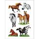 Stickers DECOR, motif Races de chevaux,image 1