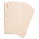 Etui de 25 feuilles de papier Etival Color, 160 g/m², A3, coloris rose pâle,image 1