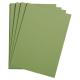 Etui de 25 feuilles de papier Etival Color, 160 g/m², A3, coloris vert pomme,image 1
