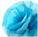 Set de 24 feuilles papier de soie 50x75 14g/m², coloris bleu turquoise 57,image 1