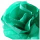 Set de 24 feuilles papier de soie 50x75 14g/m², coloris vert clair 93,image 1