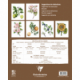 Bloc aquarelle pré-dessiné 15 feuilles thème Botanique (6 dessins), 300 g/m², 24x30,image 2