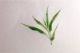 Album spiralé de 20 feuilles de papier aquarelle Bamboo, 250 g/m², 29,7x10,5,image 2
