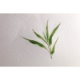 Album spiralé de 20 feuilles de papier aquarelle Bamboo, 250 g/m², A4 paysage,image 2
